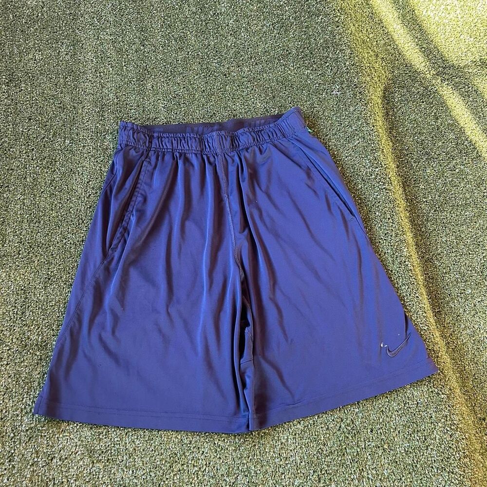 Nike Men's Navy and Blue Shorts